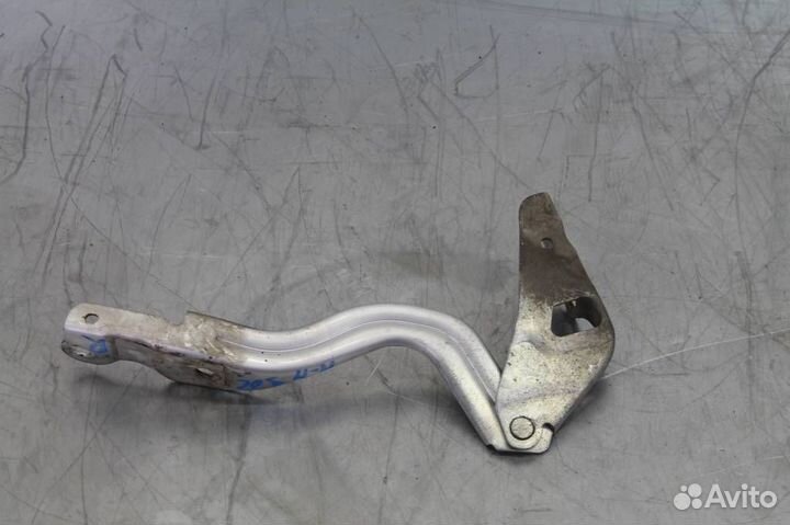 Петля капота правая Hyundai-KIA Solaris 1