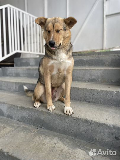 Милая девочка Буся)