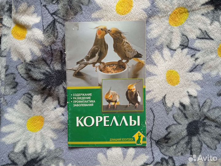 Книги отдам бесплатно