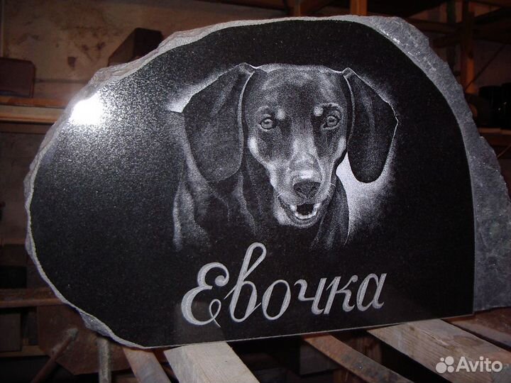 Памятник для животного