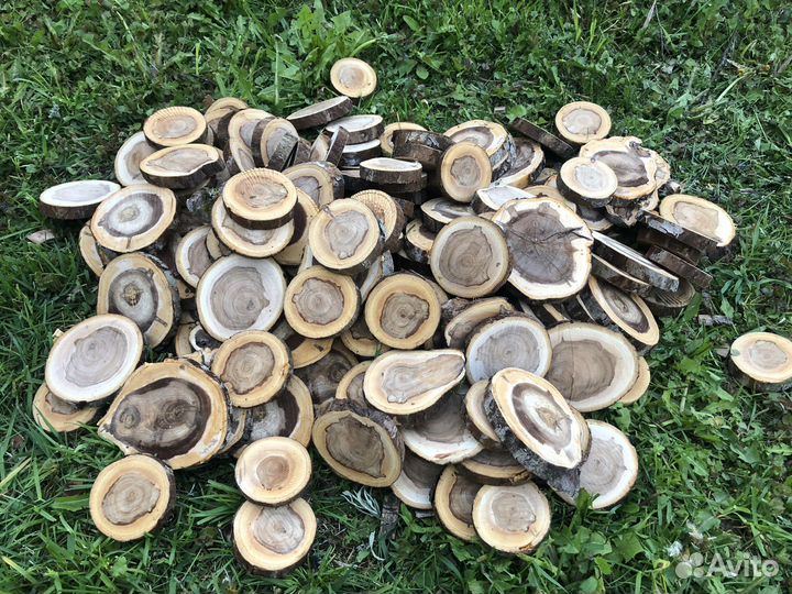 Набор спилов дерева для творчества