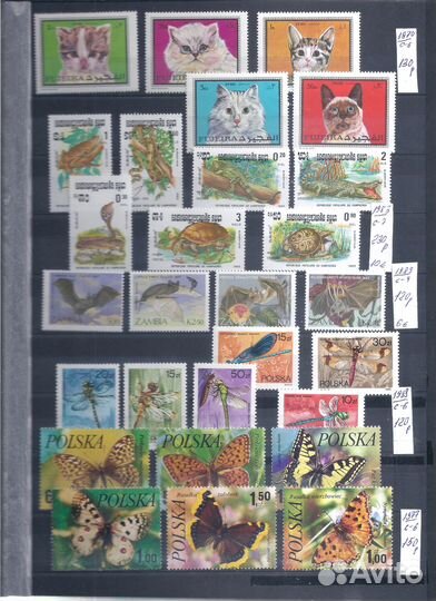 Фауна чистая 1