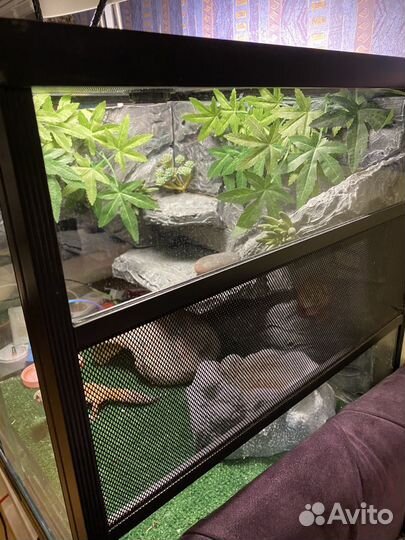 Террариум Repti-zoo