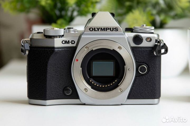 Olympus OM-D E-M5 Mark II Kit