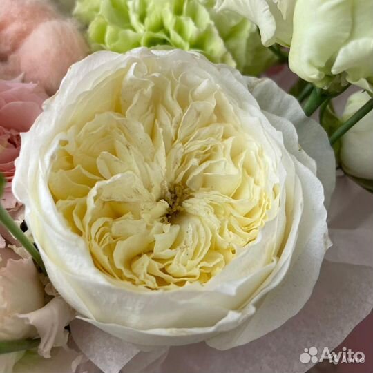 Цветы оптом