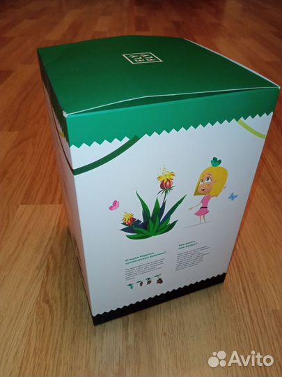 Бабочкарий