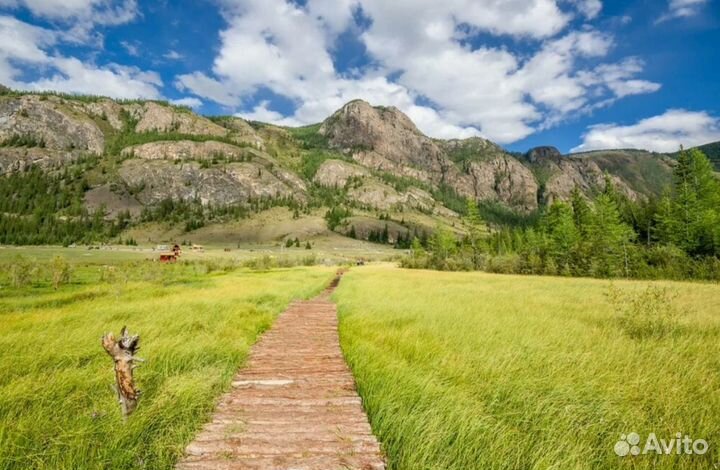 Тур поездка в авторский тур на Алтай на 7 д