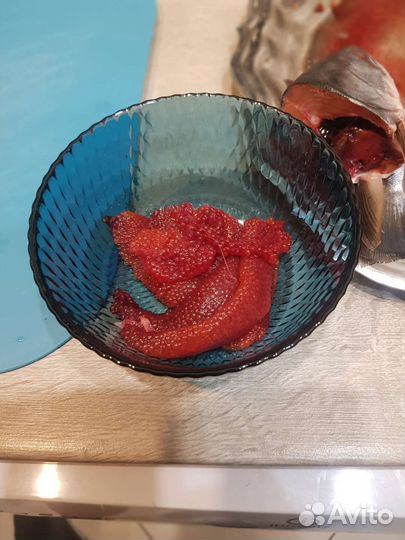 Рыба Голец (с икрой, свежая)