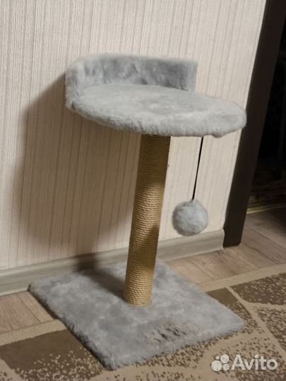 Когтеточка