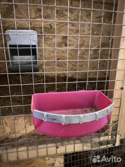 Клетки для кроликов