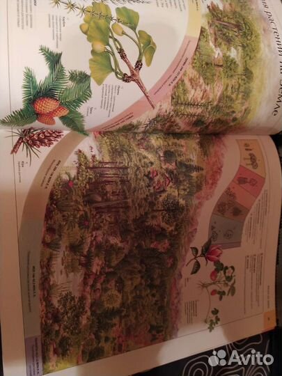 Атлас Земли