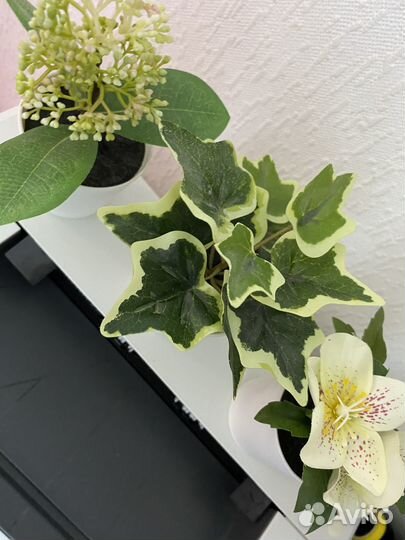 Искусственные цветы мини кашпо IKEA икея