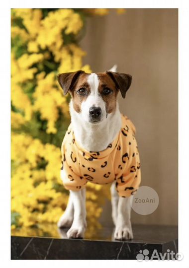 Флисовая кофта для собак/кошек (щенков/котят)