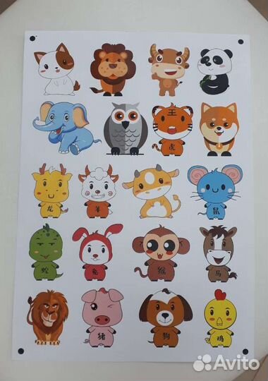 Полиграфия для маркетплейсов