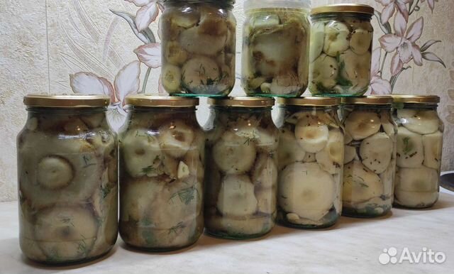 Грибы грузди соленые сырые купить в Кургане | Товары для дома и дачи ...