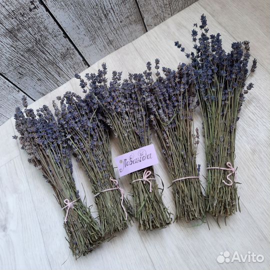 Букет из лаванды