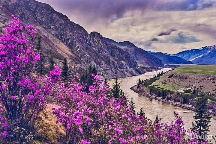 Трансфер, экскурсии туры с личным гидом-водителем