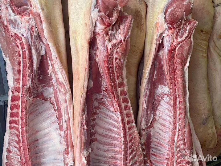 Мясо свинина с доставкой