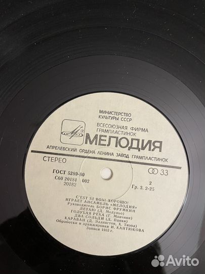 Виниловая пластинка