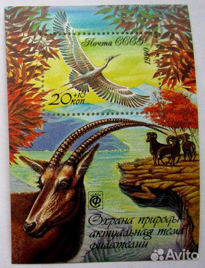 Охрана природы. 1990 г