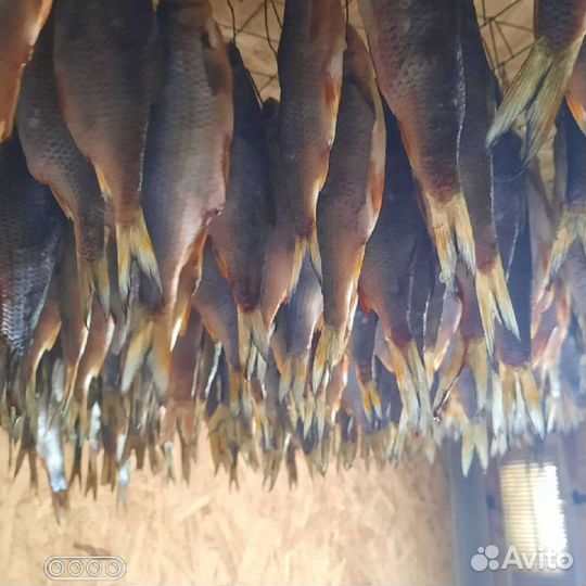 Тарань судак лещ вяленная малосольная