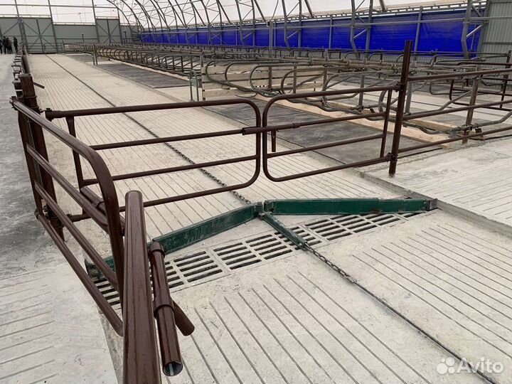 Стойла, беспривязь, привязь, дуги