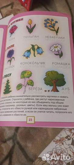 Развивающая книжка