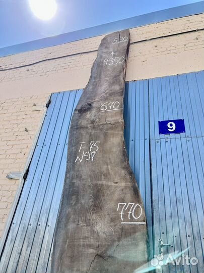 Слэбы Карагача / Слэб сухой / Гигант