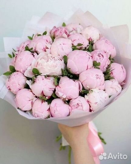 Пионы Букеты Цветы Доставка