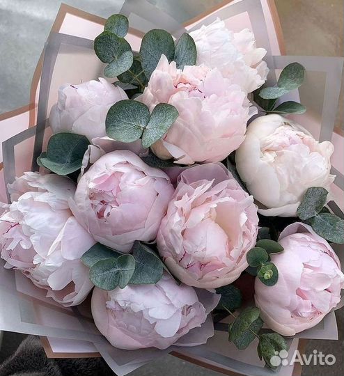 Пионы Букет