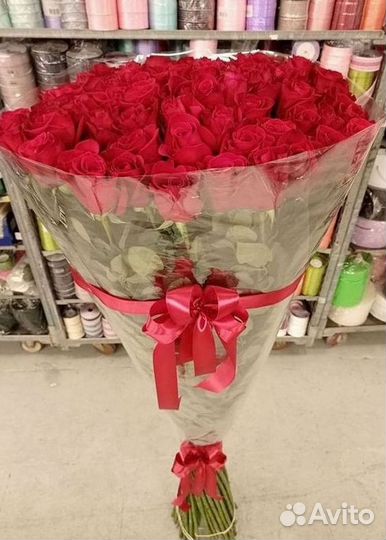 Высокие розы