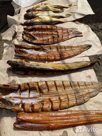 Рыба холодного копчения