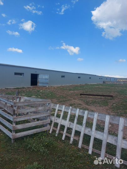 Животноводческая ферма продаю