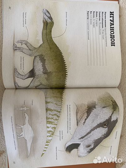 Книга про динозавров