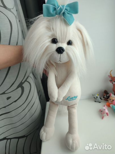 Собачка Lucky doggy