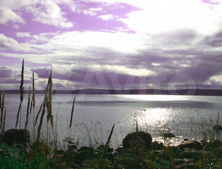 Участок 100 сот. (ИЖС)