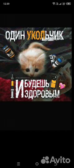 Монтаж видео