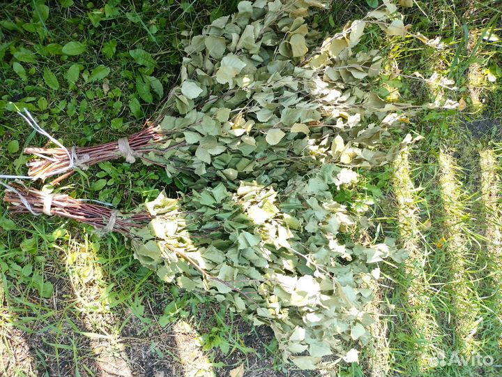 Банные берёзовые веники