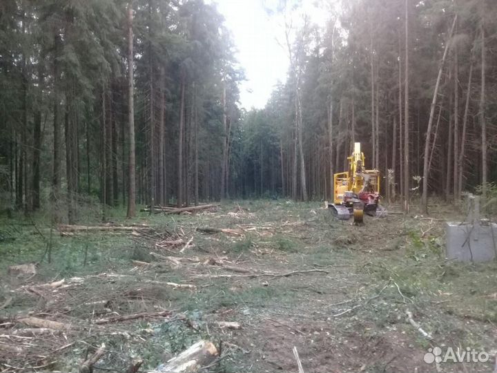 Лесозаготовительный комплекс