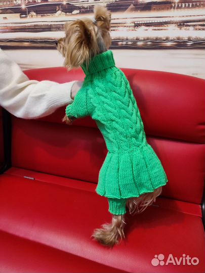 Одежда для собак-комбинезоны, толстовки, кофточки