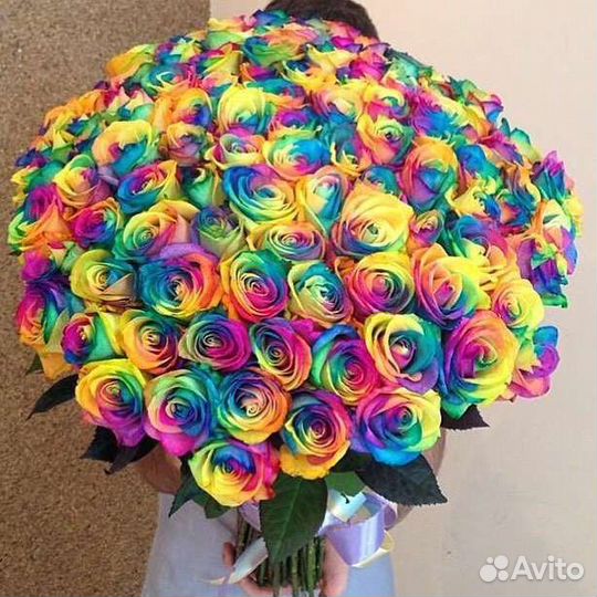 Роза Радужные чёрные синий