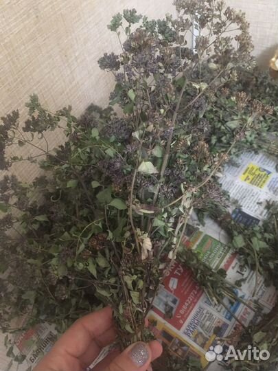 Дущица и Мята