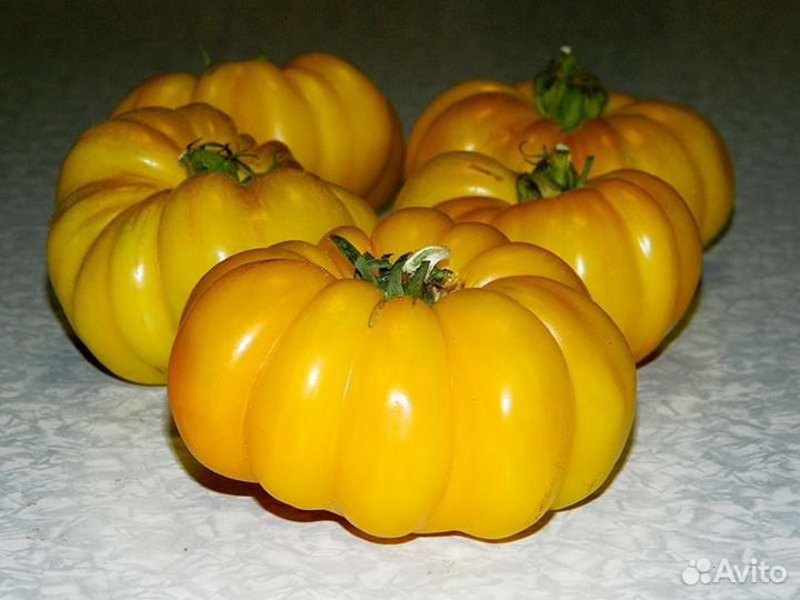 Семена коллекционных томатов