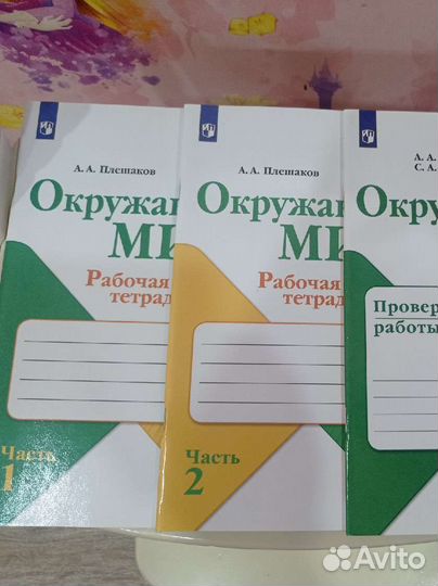 Рабочая тетрадь по окружающему миру 1 класс