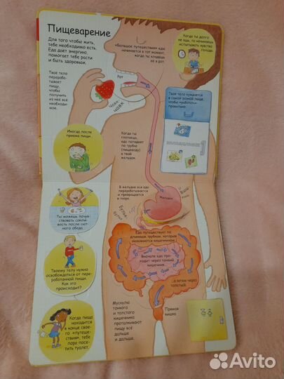 Детская книжка с окошками