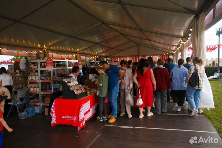 Тентовый павильон 10