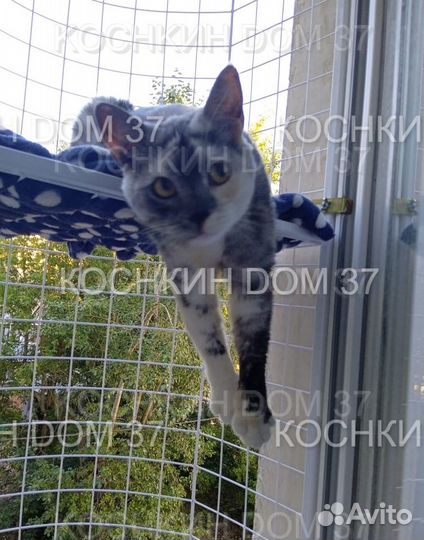 Балкон для кошек, кошкин балкон,антикошка