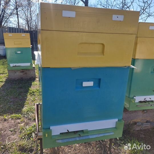 Ульи ппу нижегородец