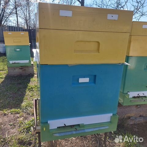 Ульи ппу нижегородец