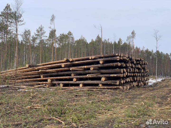 Пиломатериалы